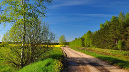 Simple landscape / ***