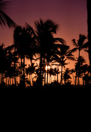 Sunset Heat / Dieses Foto wurde im 2015 in Punta Cana geschossen. Mir gefällt das man die Hitze förmlich spüren kann bei diesem Anblick...