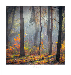 Autumn / ***