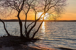 Sunset / ***