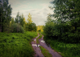 Road / ***