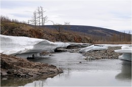 Summer on the Taimyr Peninsula / ***
