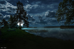 The magic of the night. / ***