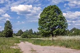 Landscape. / ***