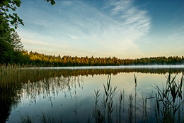 At dawn / ***