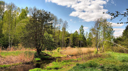 Simple landscape / ***