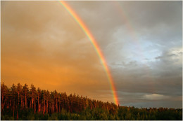 After the rain / ***