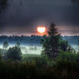 Morning / utro