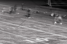 Training / ***