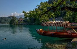Bleder See / ***