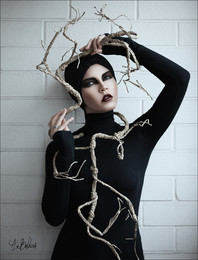 Bonsai / Md:Nika Kroft