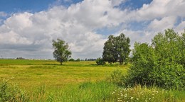 This is my village / ***