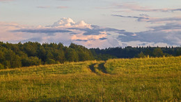 Before Sunset / ***