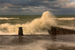 storm / ***