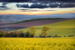 GRAND MORAVA / ***