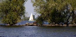 On the Dnieper / ***