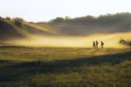 Foggy morning / ***
