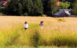 Home / ***