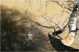 Spring etude / ***