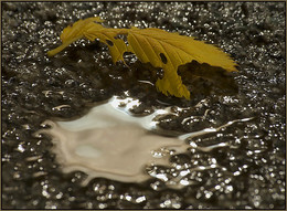 Merkblatt / ***
