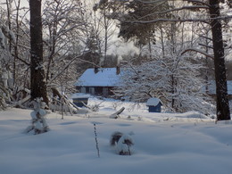 Rustic motif / ***