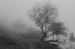 Reise / ***