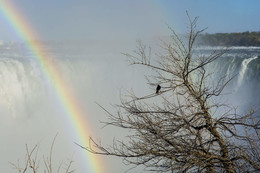 / Niagara Falls, Canada side