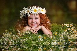 Chamomile summer / ***