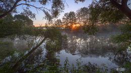 Dawn / ***