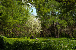Spring, spring! as the air is clean! / ***