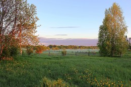 June Dawn / ***
