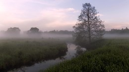 Fog over the river / ***