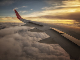 One Flew Over the ... / ***