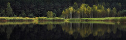 Reflexionen / ***