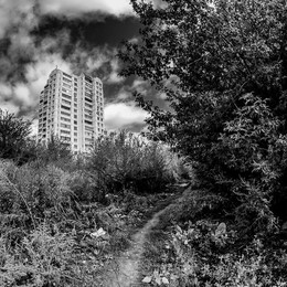 The path to the house / Samyang 8mm/3.5