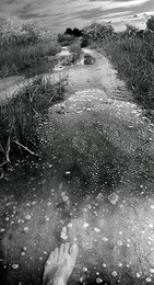 Walk / ***