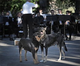 Duet... / ***