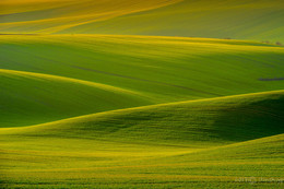 Laufen auf den Wellen / ***