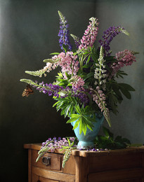 Lupinen / ***