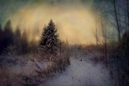 Winter / ***