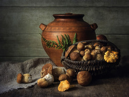 Mushroom Zeit, / ***
