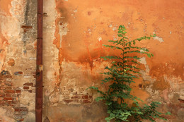 &nbsp; / [img]http://s018.radikal.ru/i518/1707/c5/487c955929b1.jpg[/img]





[img]http://s019.radikal.ru/i644/1707/a8/0446f56a35da.jpg[/img]


[img]http://s008.radikal.ru/i304/1707/e9/629818ccdc6f.jpg[/img]

[img]http://s018.radikal.ru/i519/1707/70/ebd109ae39e2.jpg[/img]



[img]http://s018.radikal.ru/i510/1707/0c/bb5737e889a5.jpg[/img]


[img]http://s019.radikal.ru/i639/1707/77/8bcc97550ed3.jpg[/img]

[img]http://s019.radikal.ru/i604/1707/44/d3a017122659.jpg[/img]