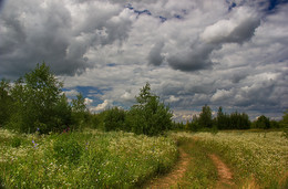 Straße in den Wald / ***