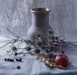 winter / ***