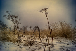In the field / ***