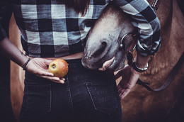 Om-Nom-Nom / ***