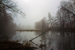 Fog / ***