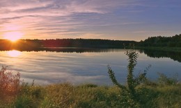 Evening Sun / ***