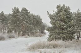 Blizzard. / ***
