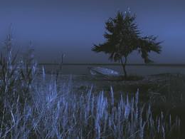 Summer Dreams / ***